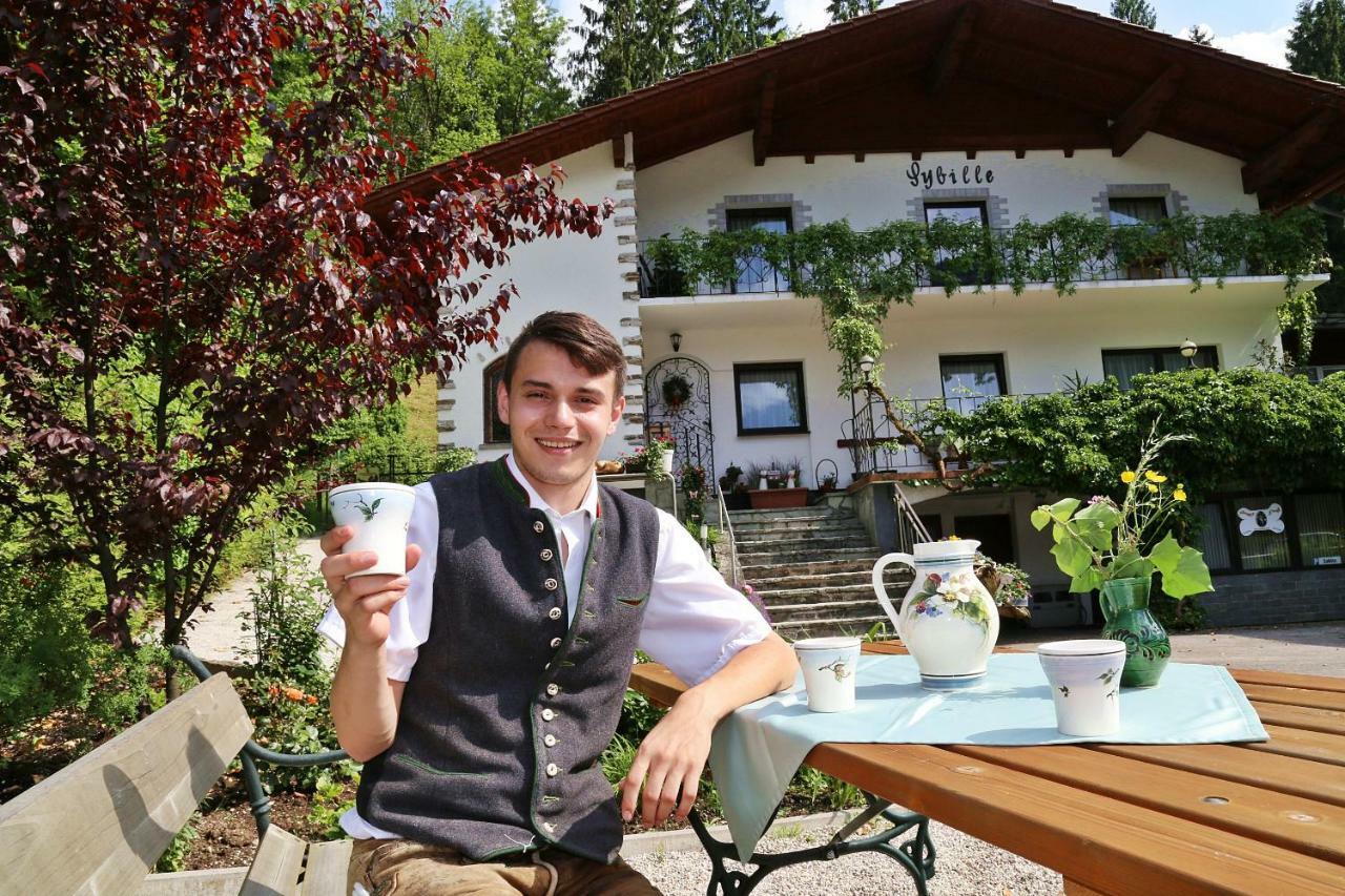 Pension Sybille Ebensee Exterior foto
